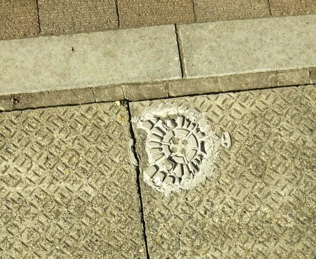田尻3丁目6―17地先
