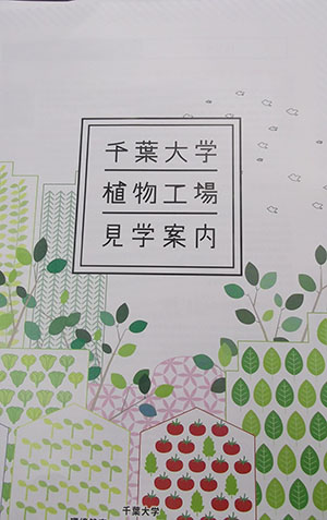 千葉大学植物工場視察1