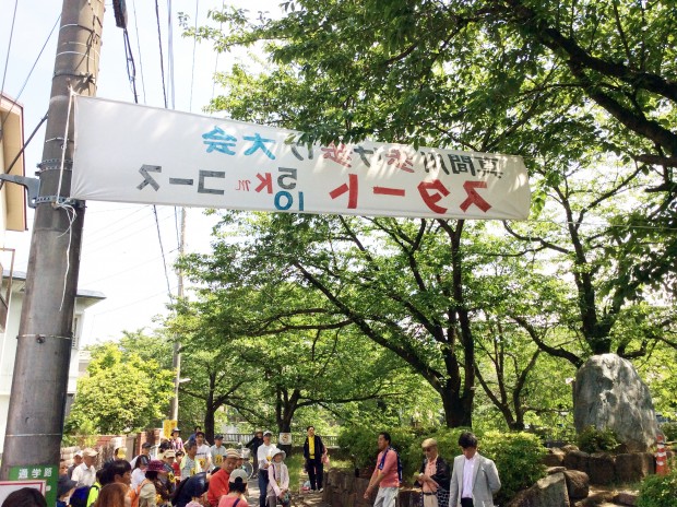 真間川歩け歩け大会1