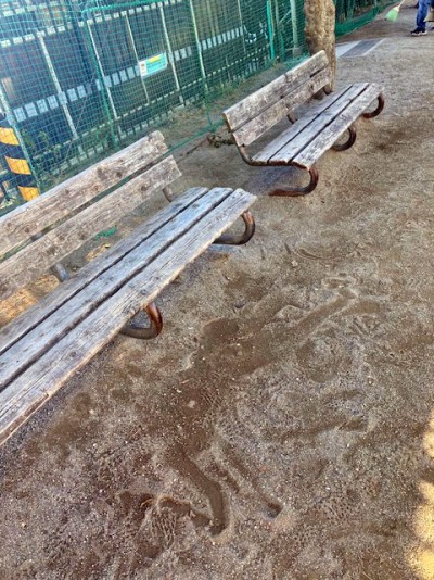 鬼高公園のベンチ1