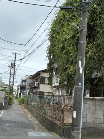 原木地域、民地から樹木が繁茂2