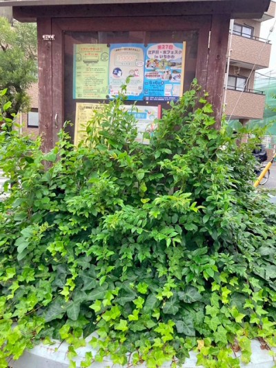 妙典南自治会の掲示板1