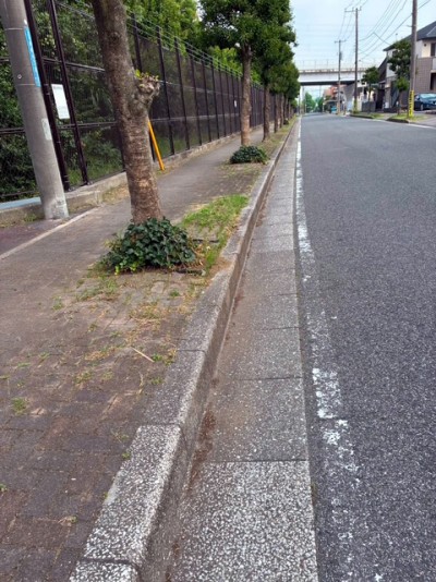 妙典2丁目歩道部の草刈り2