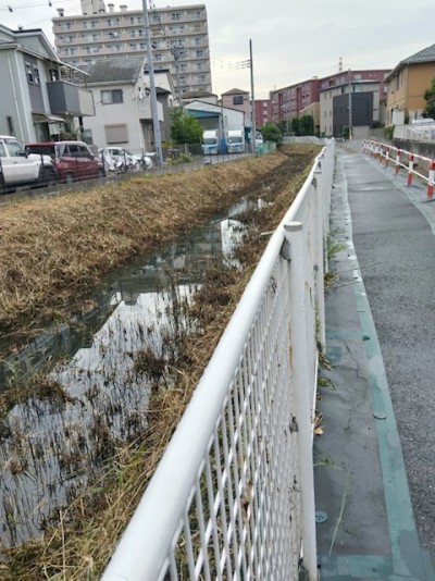 二俣川の草刈り